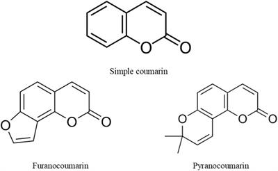 Editorial: Chemistry, toxicity, synthesis, biological and pharmacological activities of coumarins and their derivatives: recent advances and future perspectives